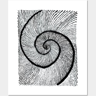 Double shell Fibonacci spiral golden ratio Posters and Art